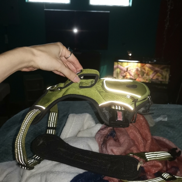 Way too small for my German shepherd - Picture 2 of 4